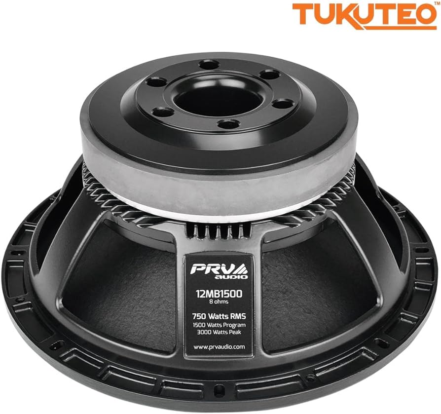 Speaker 12"