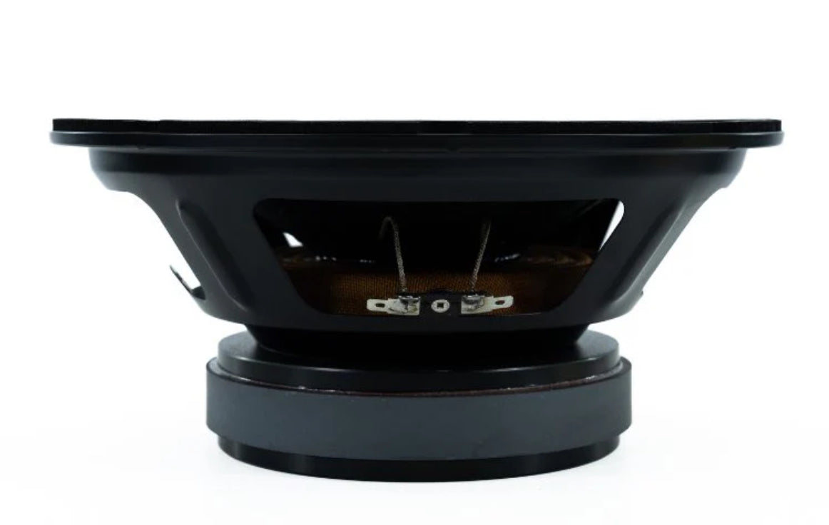 BPS 10" Midrange Speaker 10-700MR